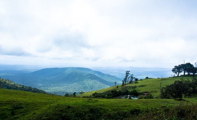 问题上频频 问题上频频