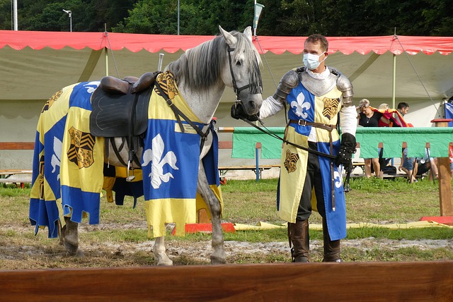 仅吸引了众 仅吸引了众