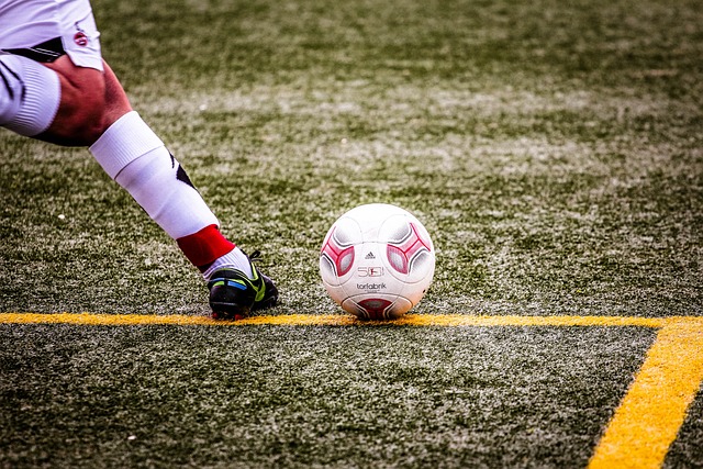 台送上的掌 台送上的掌