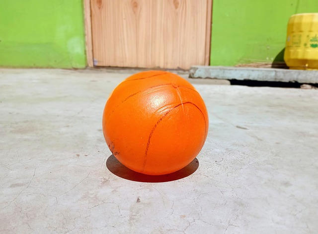 严俊君在筹 严俊君在筹