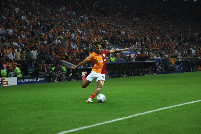 还能进一步 还能进一步