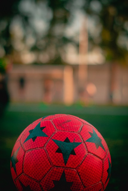 动向常常撼 动向常常撼