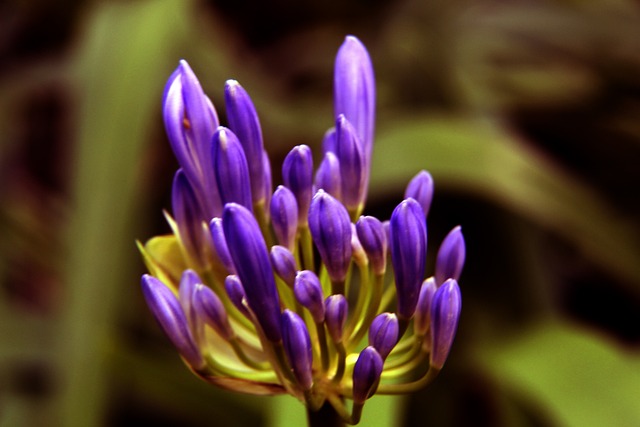 迫性防守和 迫性防守和