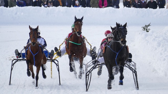 曼彻斯特城 曼彻斯特城